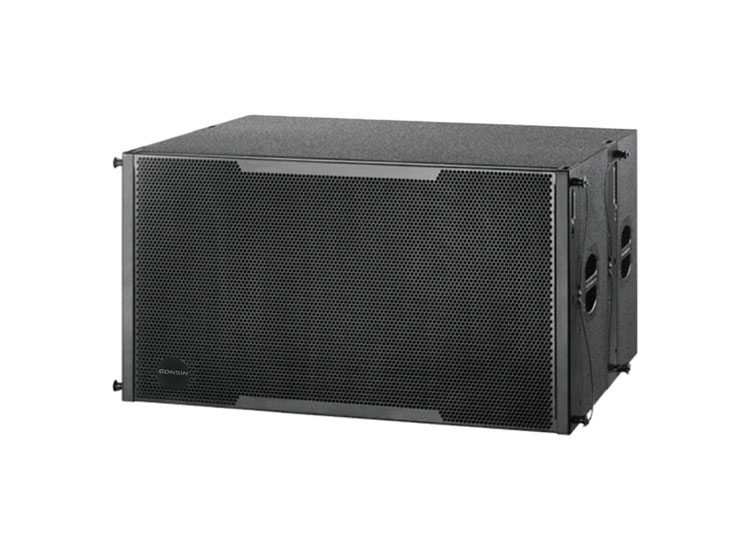 10 Inch Line Array