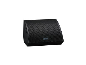 Monitor Wedge Speaker