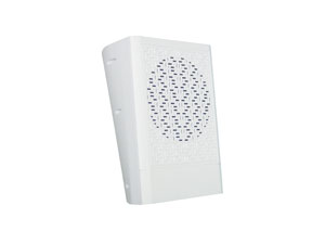 Wall Mounted Speaker