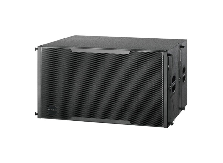 12 Inch Line Array