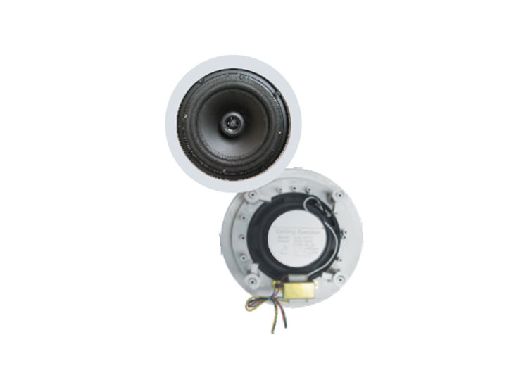 Ceiling Mounted Speakers