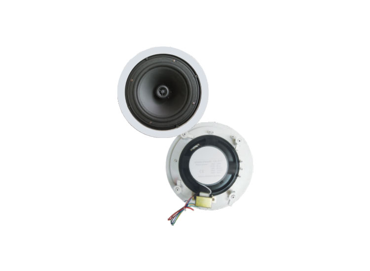 Ceiling Speaker