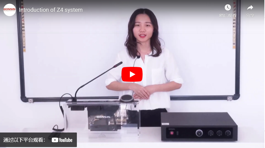 Introduction of Z4 system