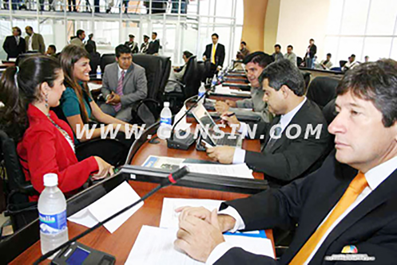 Gonsin At Ecuadorian Constituent Assembly