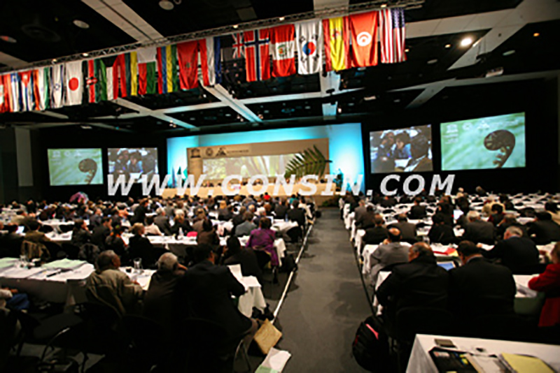 Gonsin At World Heritage Committee 31st Session