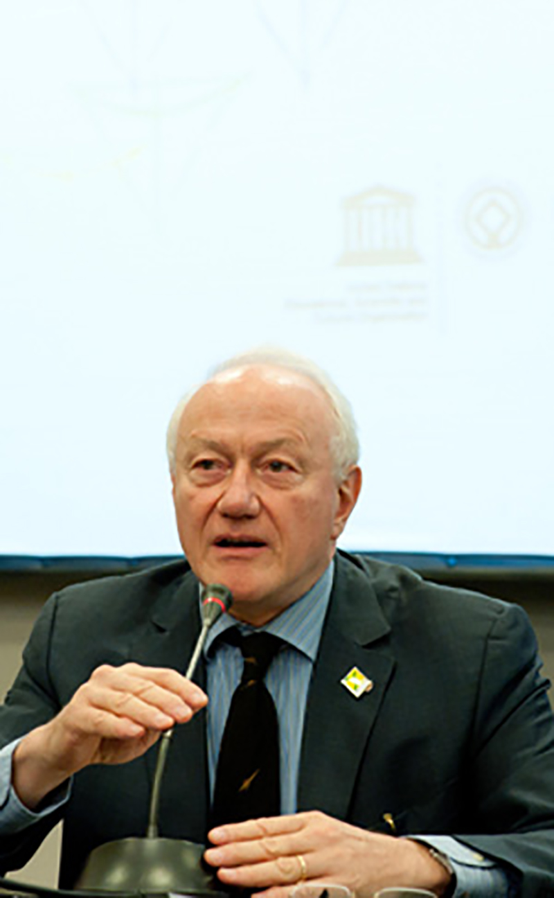 Gonsin At World Heritage Committee 34th Session