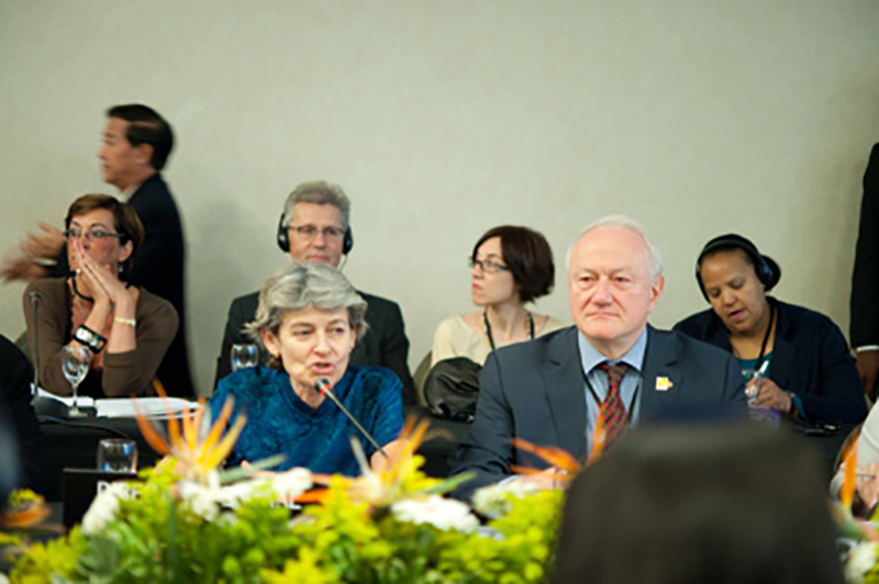 Gonsin At World Heritage Committee 34th Session