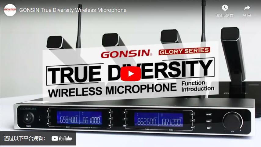 GONSIN True Diversity Wireless Microphone