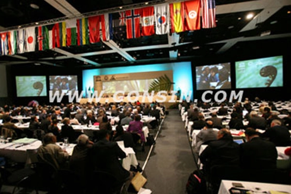 Gonsin At World Heritage Committee 31st Session